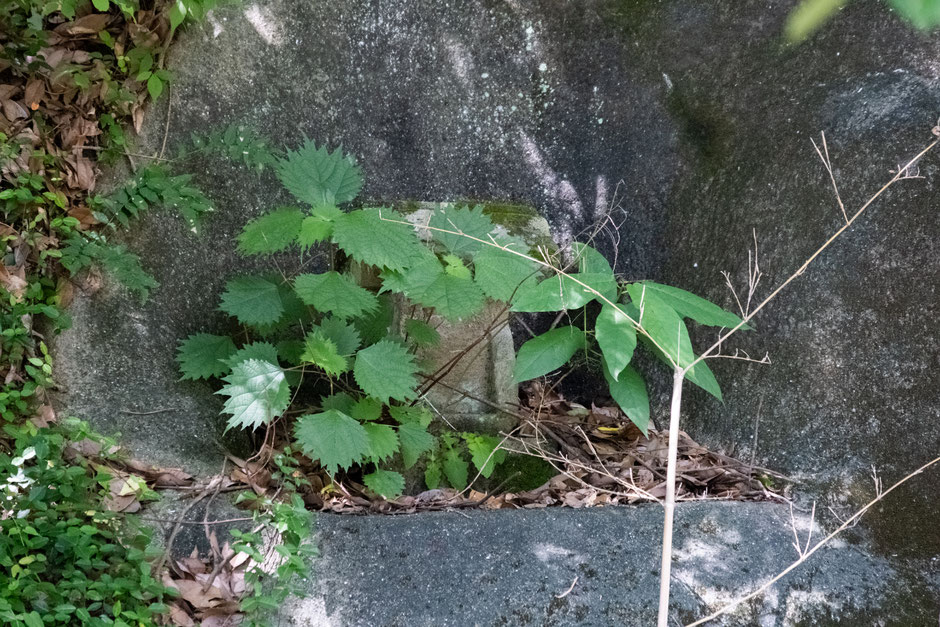 宇佐市安心院町-里の駅近くの貴船神社-戸方