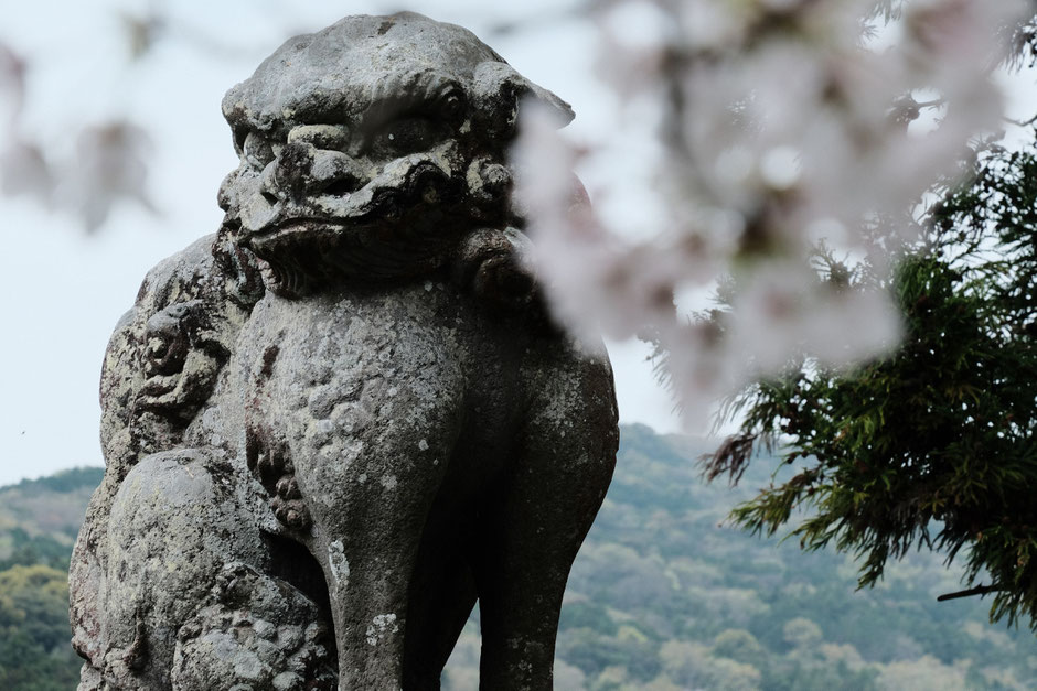 【豊後高田市上香々地】記憶に残る国東半島の神社「日枝神社」