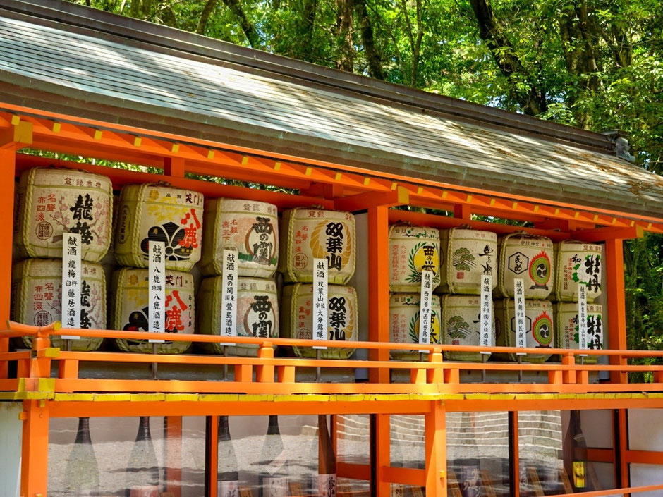 【宇佐神宮】スニーカーを履いて5月のカメラ散歩