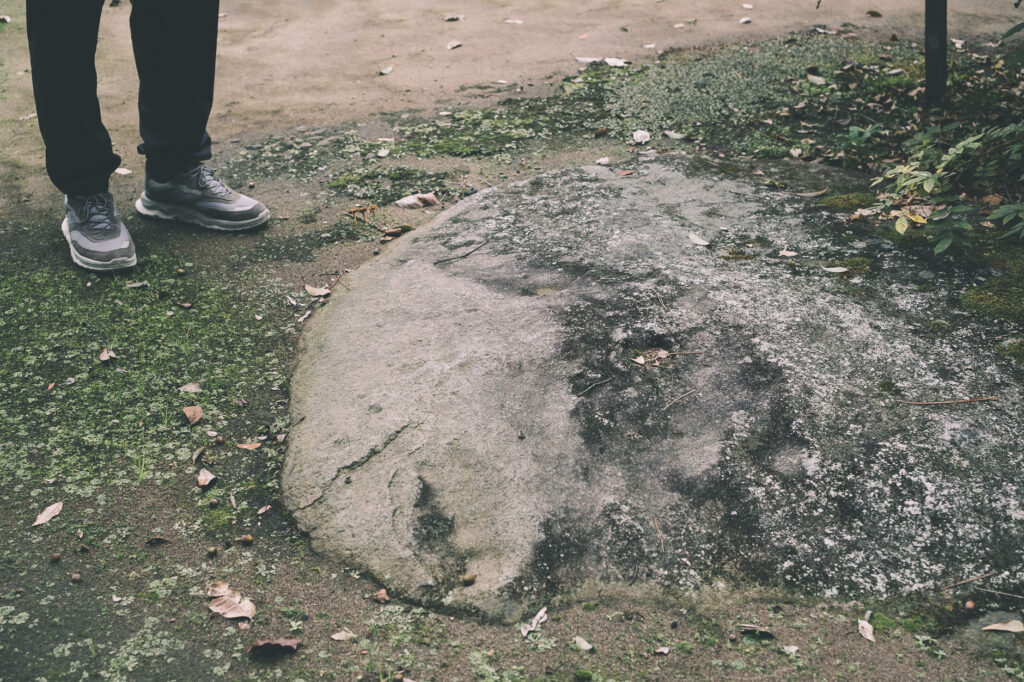 かつて海の中にあった八幡社-豊後高田市-別宮八幡社-沈んだ大岩