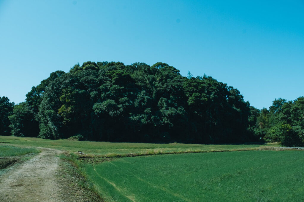 入津原丸山古墳