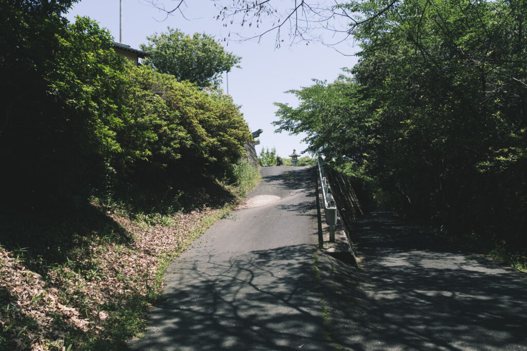 八景山-みやこ町-山頂への道