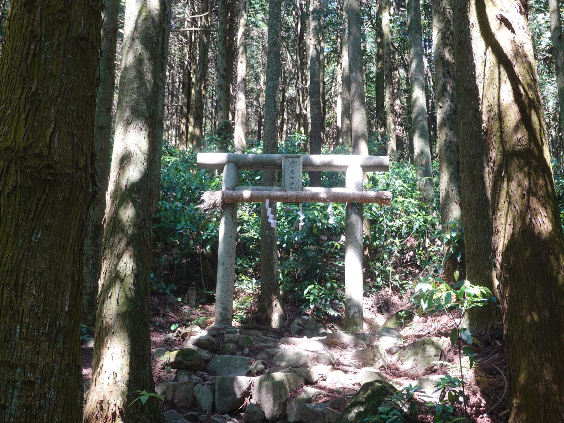 市瀬登山口-北九州市八幡西区-から鷹見神社奥宮参拝コースへ (3)