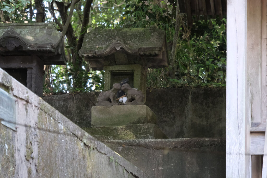 本殿の脇には珍しい狛犬
