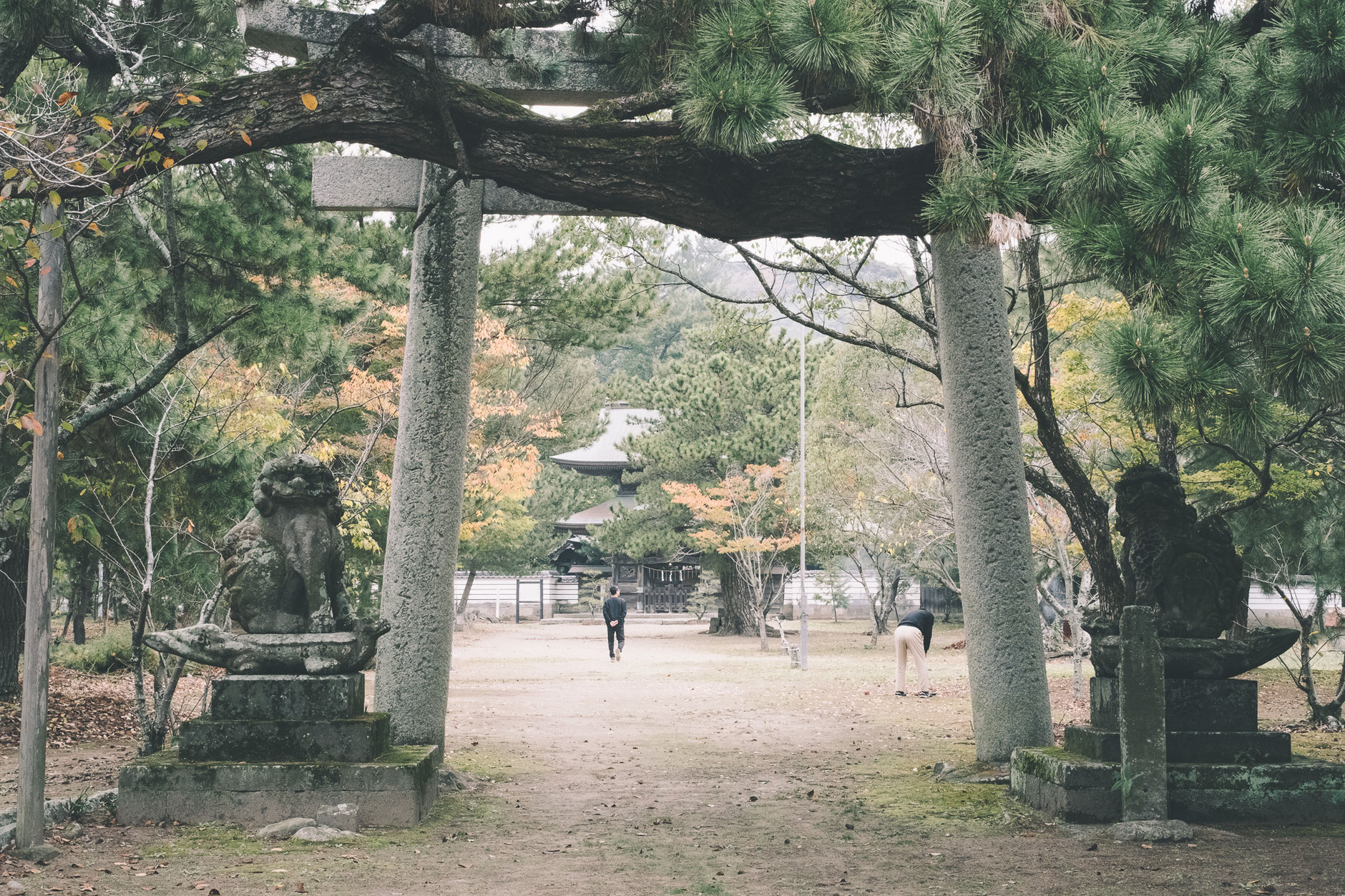 かつて海の中にあった八幡社？ 豊後高田市「別宮八幡社」で見つけた右三つ巴紋