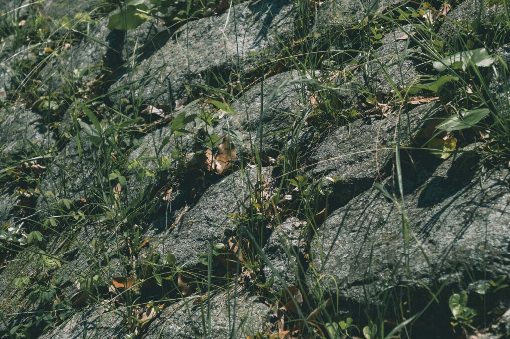 甲塚古墳-みやこ町-を歩く-九州最大級方墳-葺石アップ