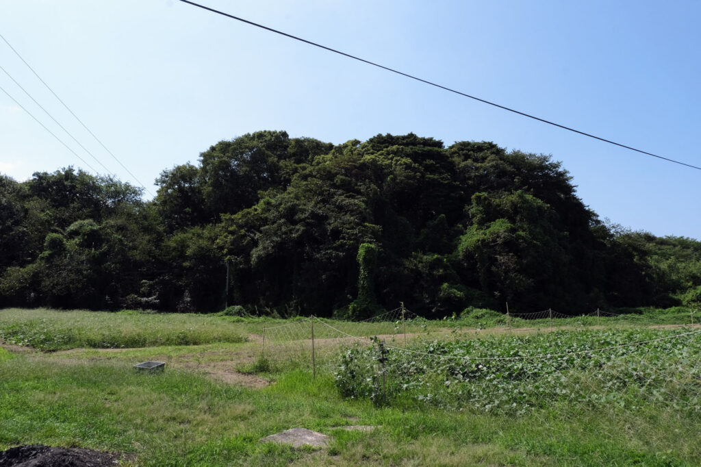 真玉大塚古墳-東側の道から見る古墳