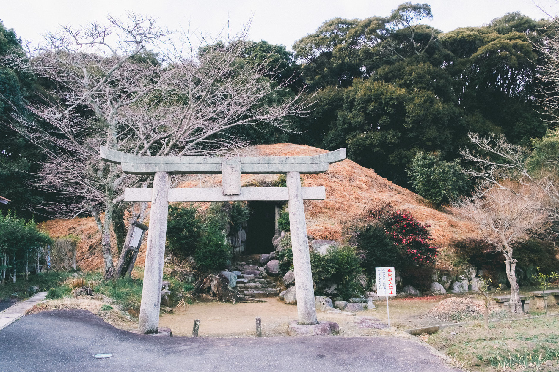 福岡県みやこ町-古墳時代後期の横穴式石室古墳-綾塚古墳-へ (4)