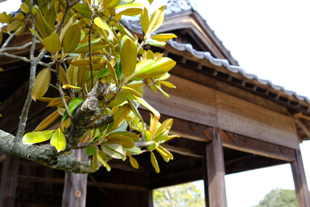 豊前市-空が広く近くにある-天地山公園の中にある-甲神社-へ (3)