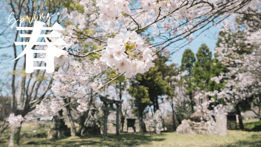 春写真