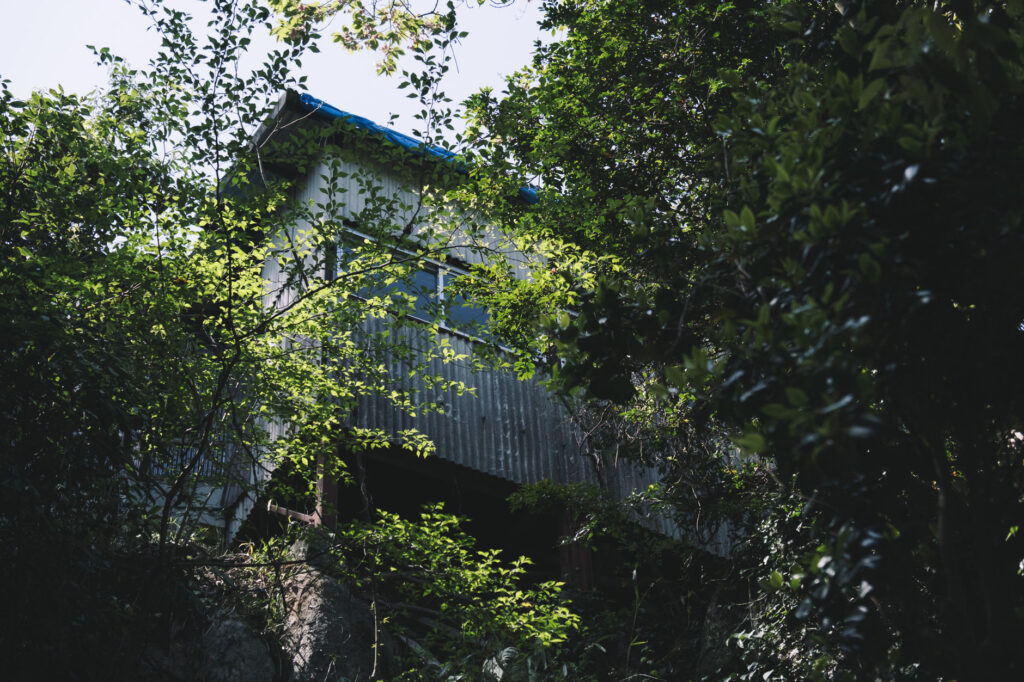 難病平癒の観音様-福岡県みやこ町-胸の観音-山頂付近