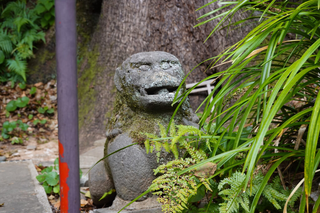 石造狛犬一式 阿形