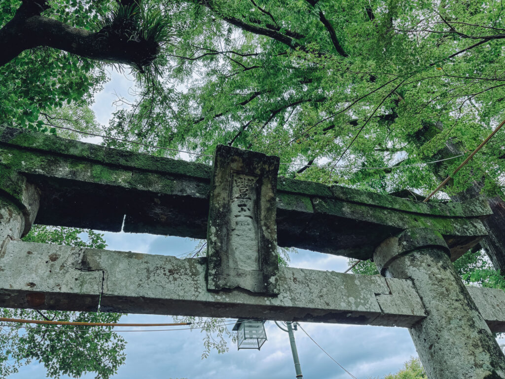 嬉野市 豊玉姫神社 鳥居