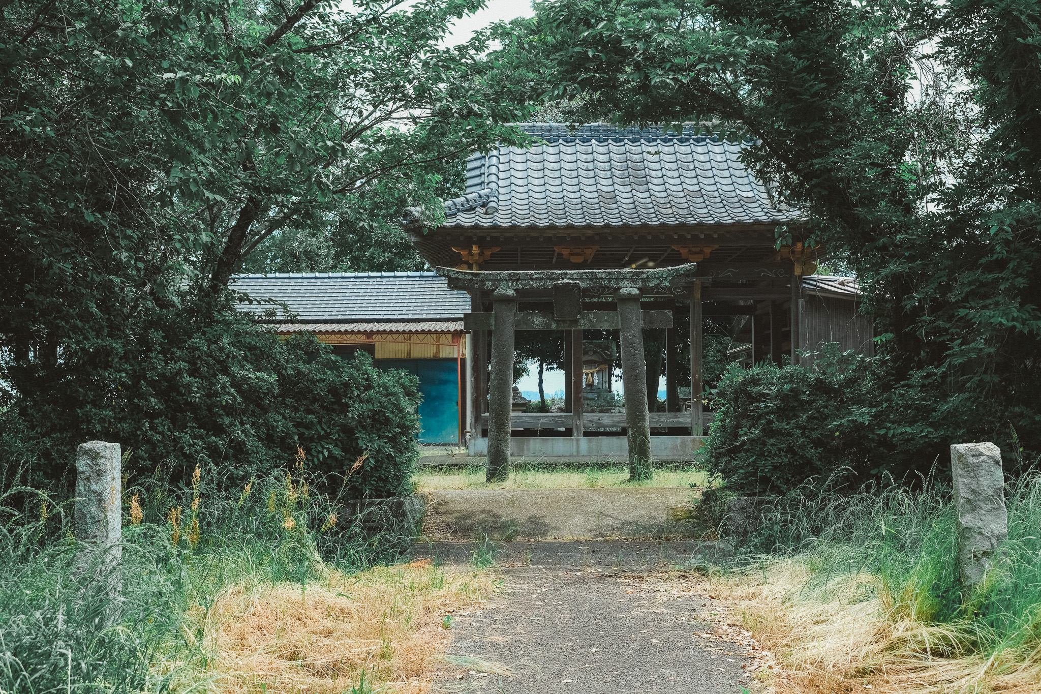 【大分県宇佐市】乙咩神社のすぐそばにも金毘羅宮（こんぴらさん）