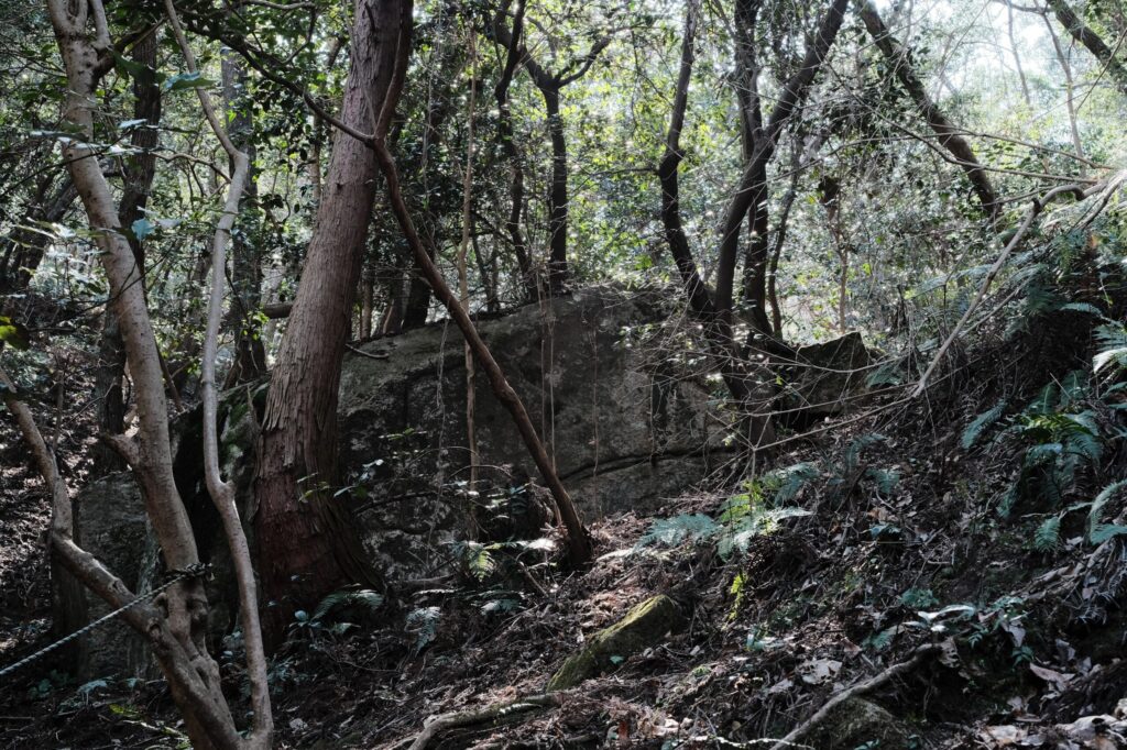 御所ヶ谷神籠石　奥の院へ続く道