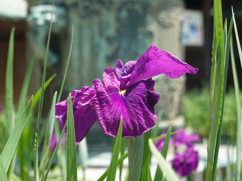 宮地嶽神社