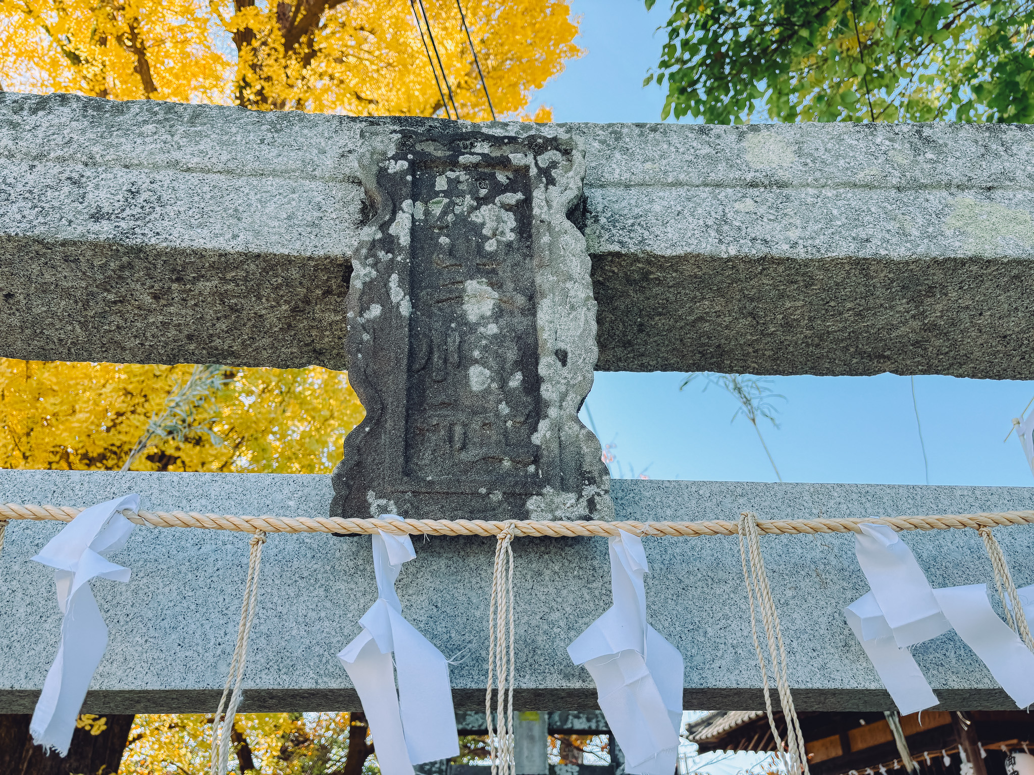 【大分県中津市】金谷貴船神社・丹生神社貴船宮
