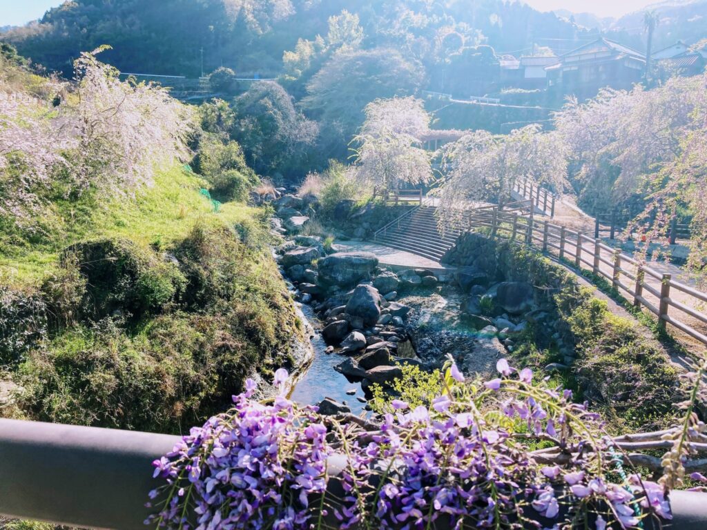 【福岡県豊前市上川底】迷った先で見つけた貴船神社と藤の花 2021/4/6撮影記録