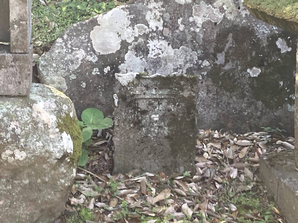 【福岡県豊前市上川底】迷った先で見つけた貴船神社と藤の花 2021/4/6撮影記録