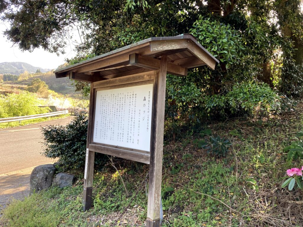 【福岡県豊前市上川底】迷った先で見つけた貴船神社と藤の花 2021/4/6撮影記録