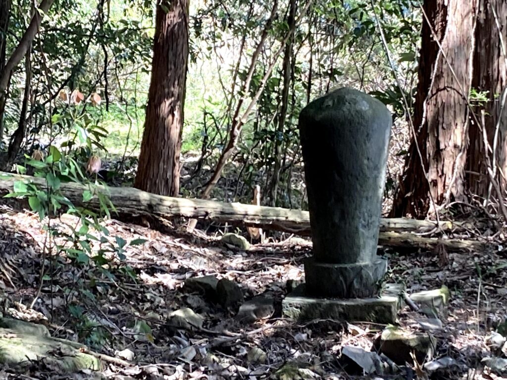 【福岡県豊前市】初めての如法寺 2021/4/11撮影記録