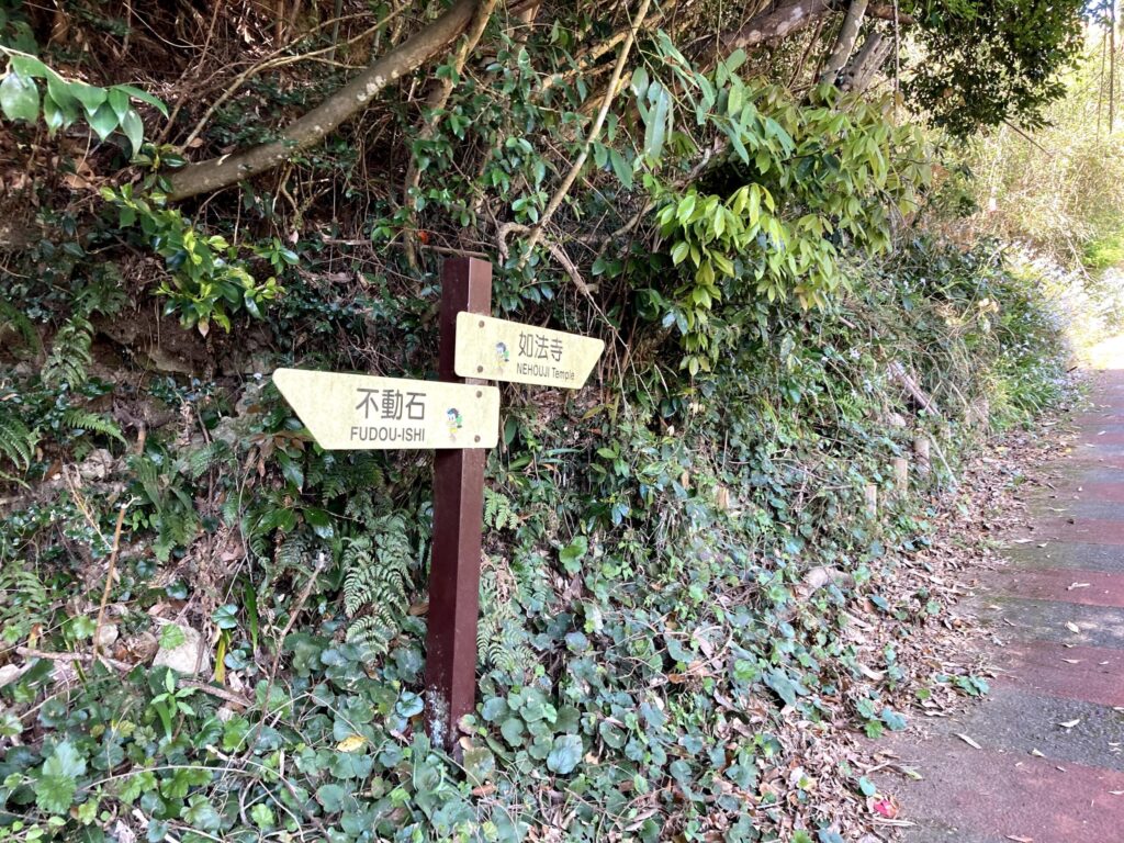 【福岡県豊前市】初めての如法寺 2021/4/11撮影記録