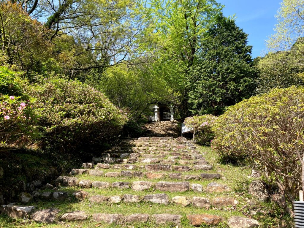 【福岡県豊前市】初めての如法寺 2021/4/11撮影記録