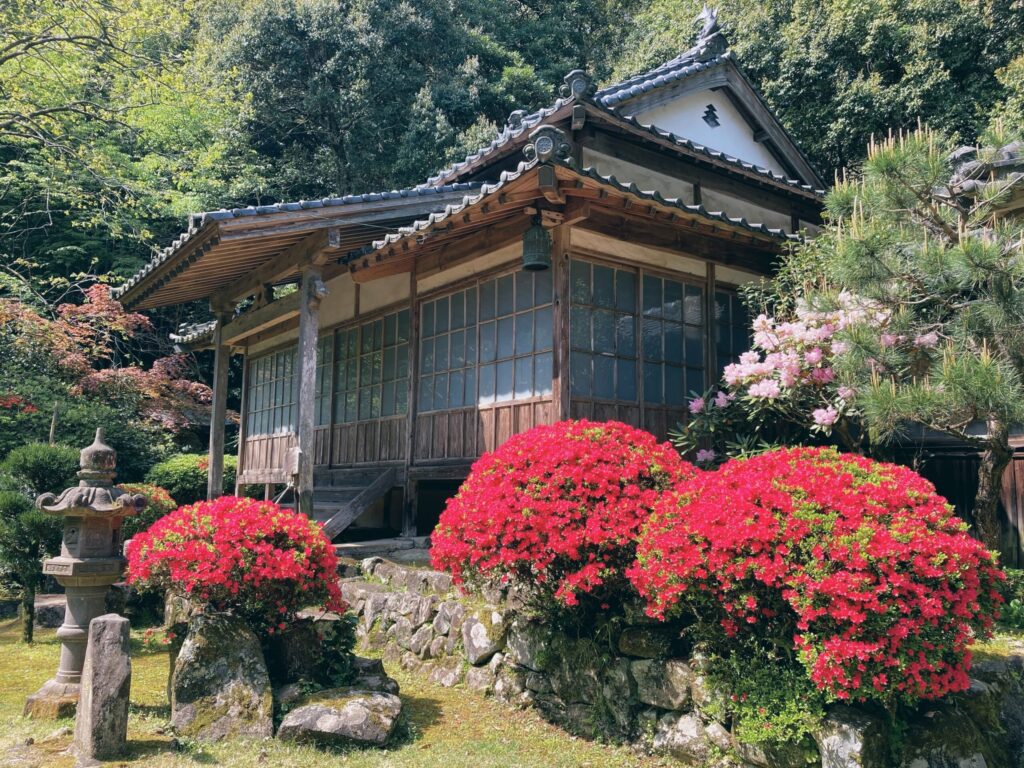 【福岡県豊前市】初めての如法寺 2021/4/11撮影記録