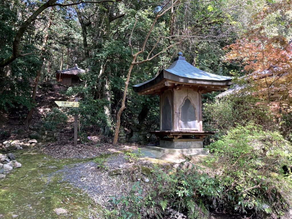 【福岡県豊前市】初めての如法寺 2021/4/11撮影記録