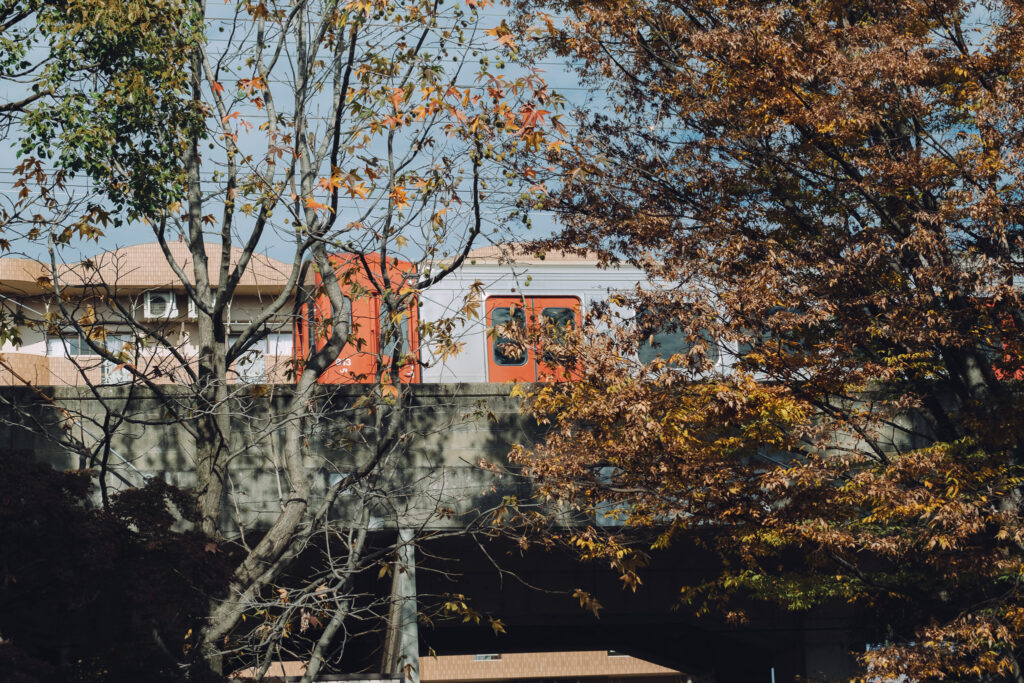 【大分県中津市】中殿貴船神社かまぎ餅神事 蛎瀬神楽奉納へ