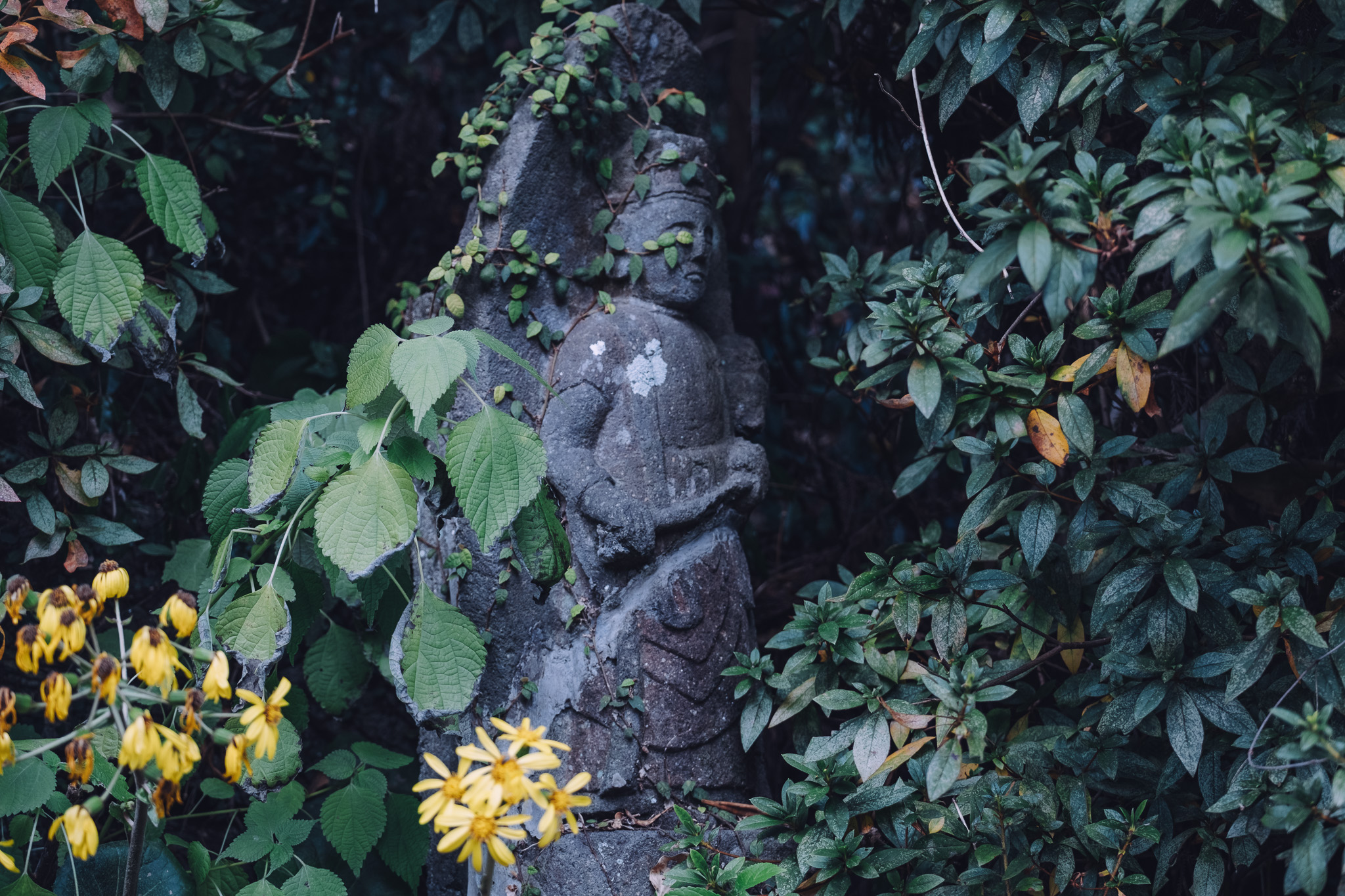 豊後高田市　天念寺　石仏