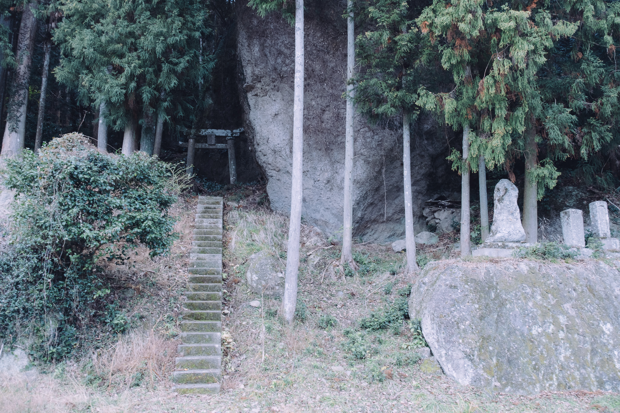 山の中の「海」の謎＿かつて「大魔所」と呼ばれた豊後高田市夷谷の「蛭子社（えびすしゃ）」