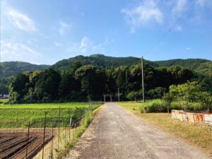 【福岡県豊前市】日吉神社 2021/6/30 撮影記録