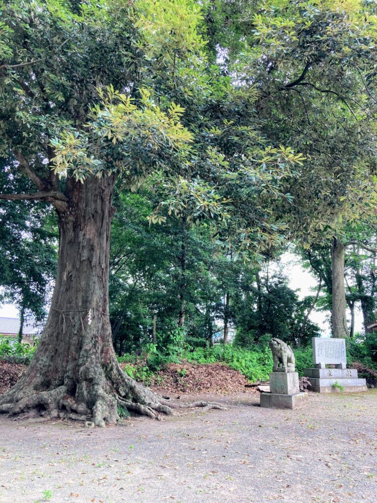 福岡県豊前市】石清水八幡神社 2021/7/1 撮影記録