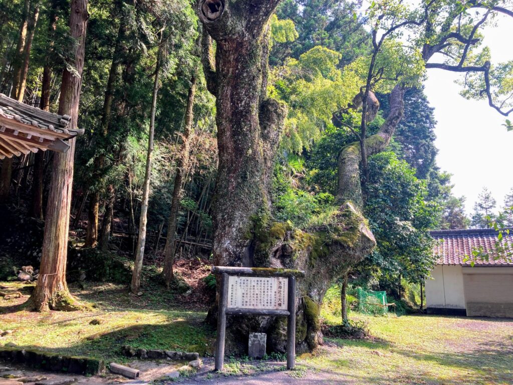 【福岡県豊前市】畑冷泉・水神社 2021/6/21 撮影記録