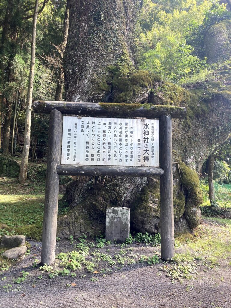【福岡県豊前市】畑冷泉・水神社 2021/6/21 撮影記録