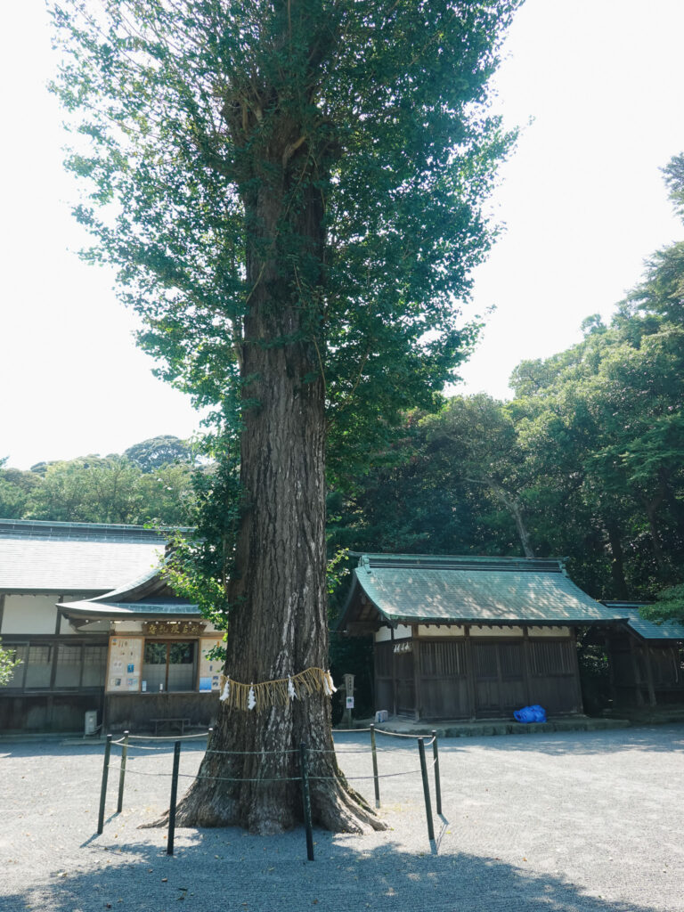 大島・中津宮 2020年9月撮影記録