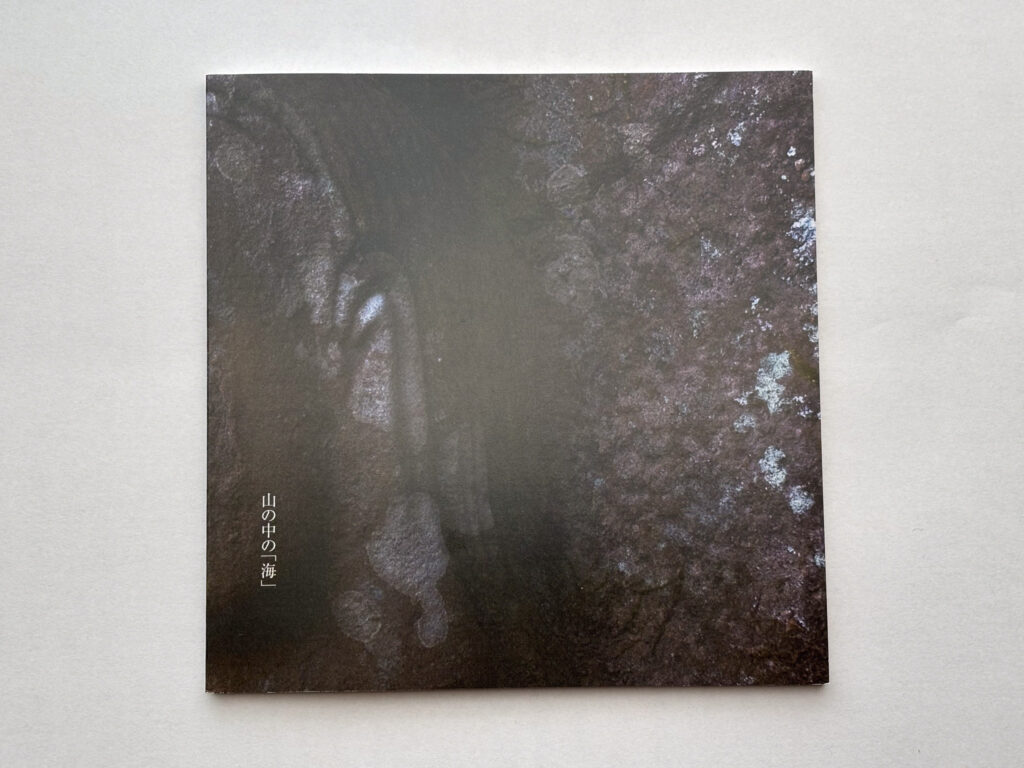 山の中の「海」