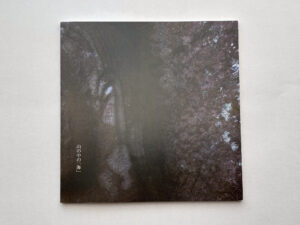 山の中の「海」