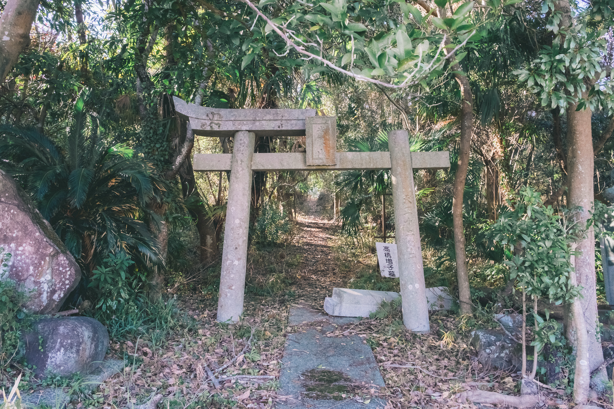 豊前市の天地山公園がある山は、かつて「岩根山」だった？