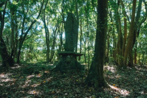 入津原丸山古墳の石碑
