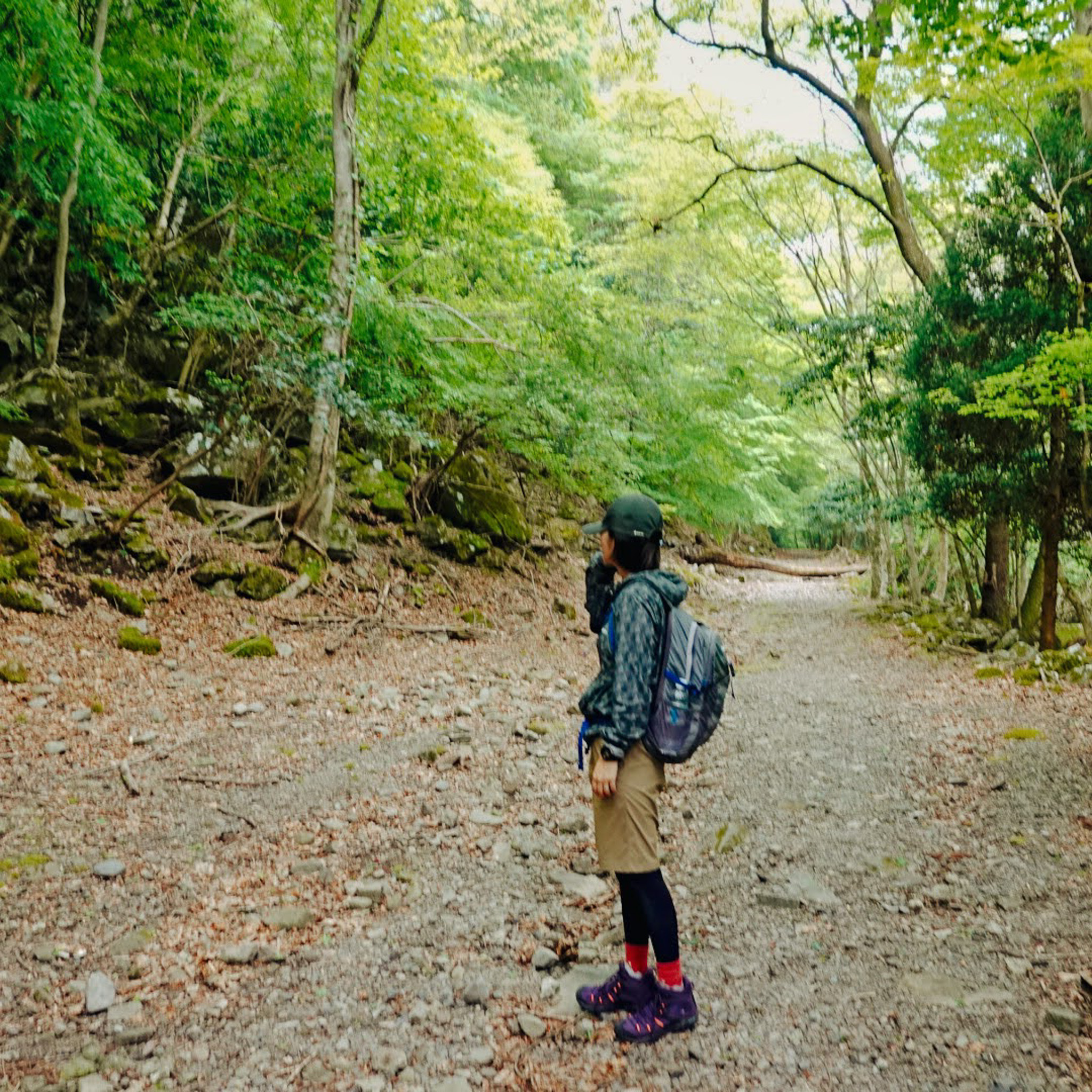 ぶぜんノートのアバター