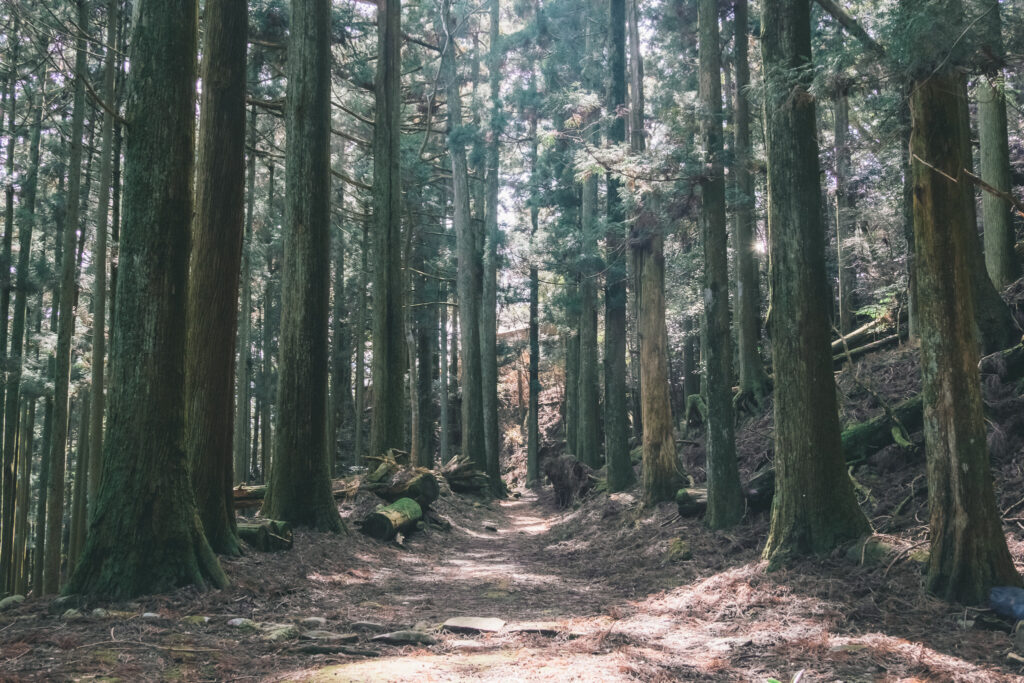 福岡移住体験「福岡くらしごと」受入レポvol.2｜求菩提山