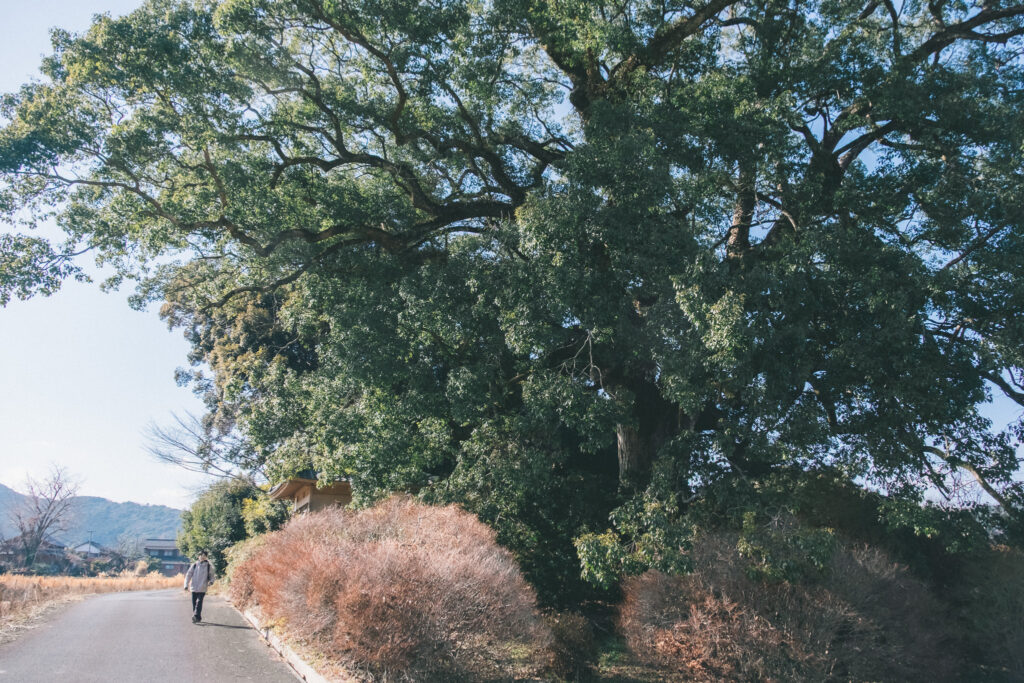豊前市　白山神社