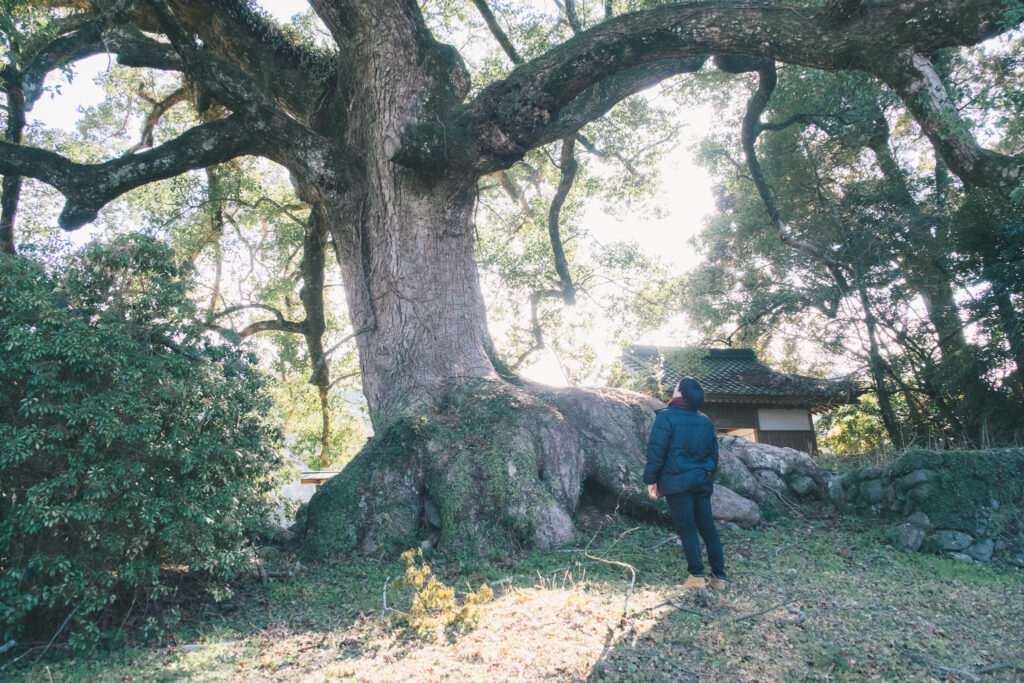豊前市　下川底　白山神社