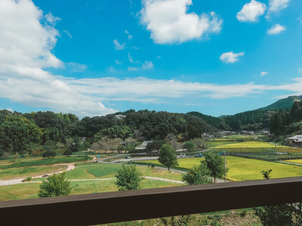 【大分県臼杵市】臼杵石仏 2020年9月 撮影記録