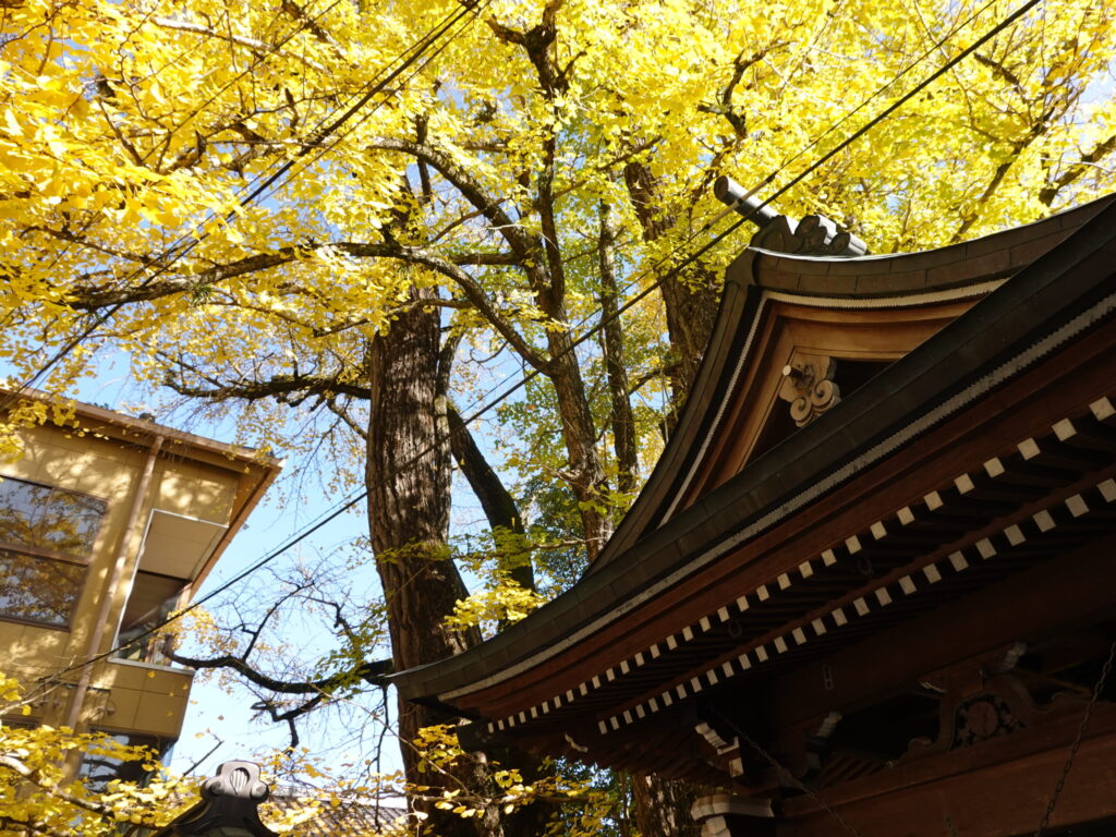 【大分県日田市】高塚愛宕地蔵尊 2020年11月 撮影記録