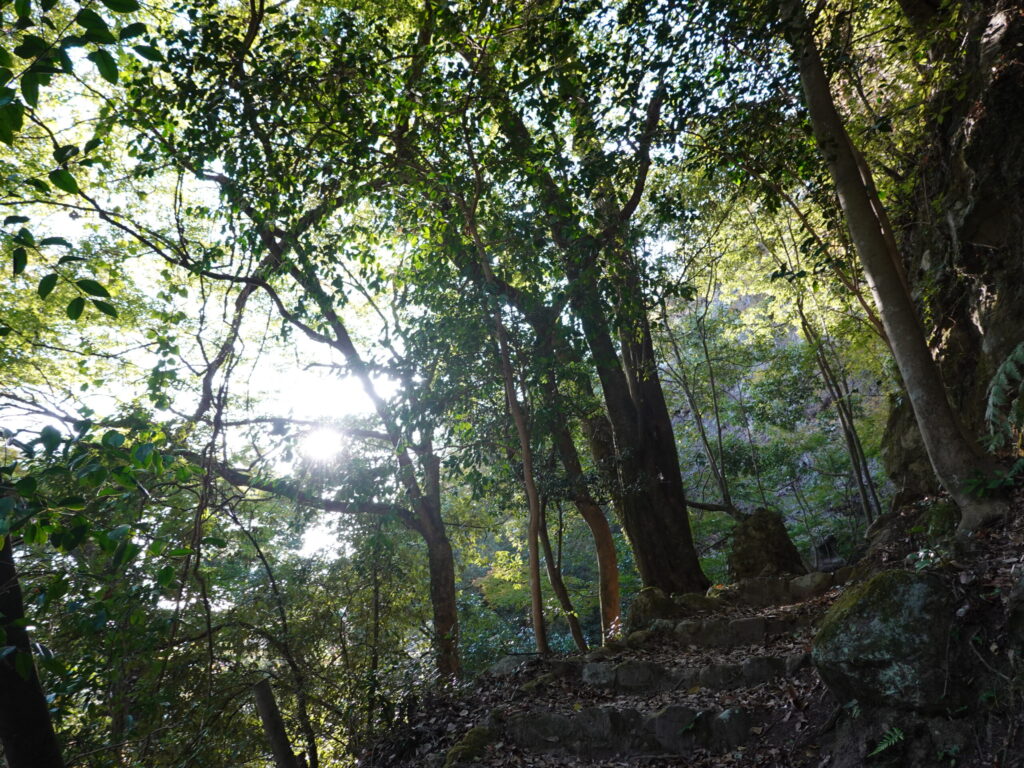 【大分県宇佐市】院内町 龍岩寺 2020年9月 撮影記録