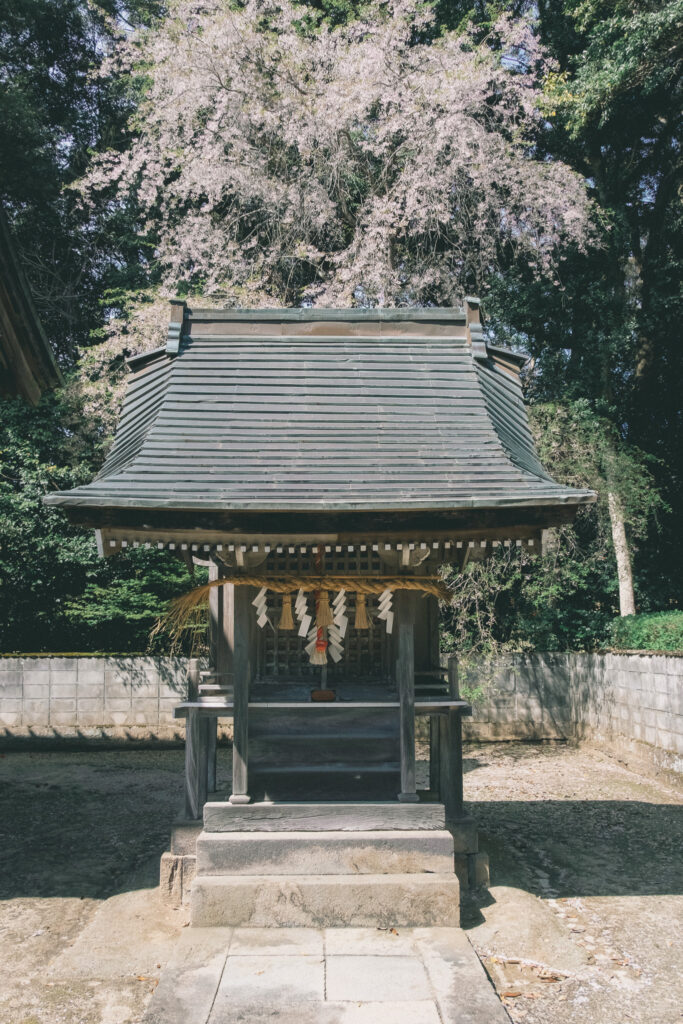 【大分県豊後高田市】三笠山春日神社 2026年4月 撮影記録