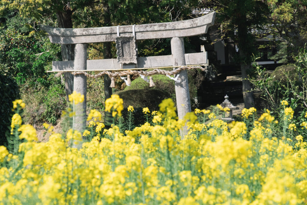 【大分県豊後高田市】三笠山春日神社 2026年4月 撮影記録